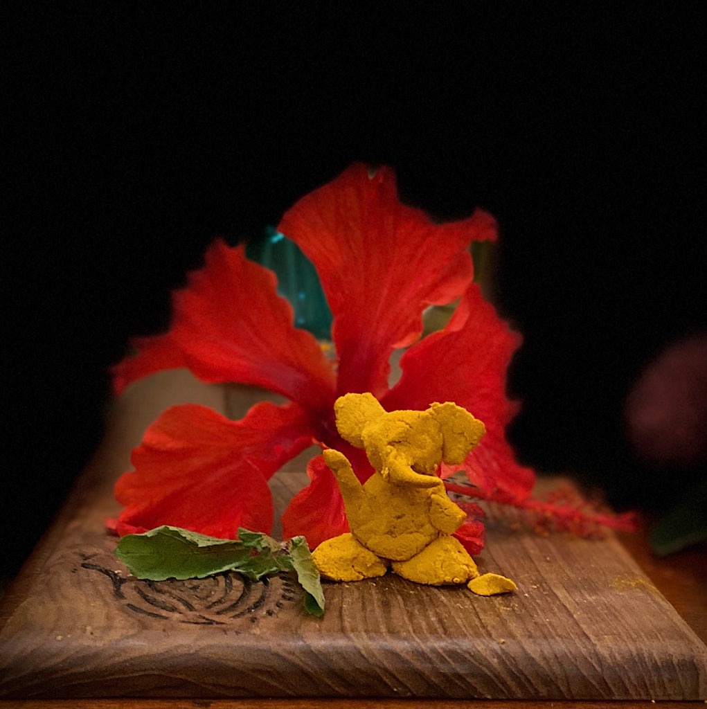 Gauri-Ganesh and the Haldi Connection