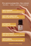 Turmeric CO₂ Extract Essential Oil – Turmerone-Rich Glow