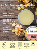 LIP BALM Parama Naturals