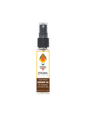 Ginger - Turmeric ZINGIBER OIL Re-energizing Pain & Stiffness Relief ParamaNaturals