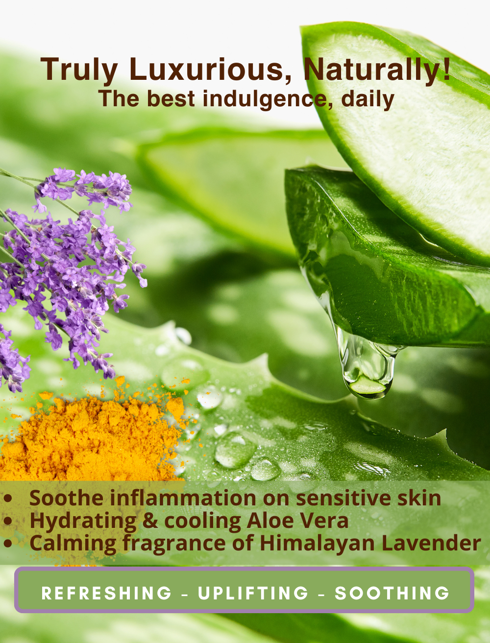 turmeric for aloe vera plant Lavender-Turmeric Aloe Vera Gel Serum – Anti-Aging & Sensitive Skin – Parama Naturals